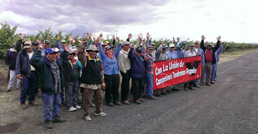 2013_0627_UFW_FieldFoto