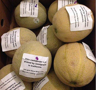 2013_0801_UFWcantaloupes