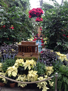 2013_1209_BotanicLincoln