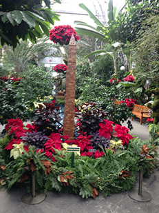 2013_1209_BotanicWashington