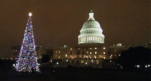 2013_1209_CapitolTreeNight