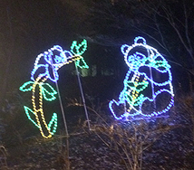 2013_1211_Pandalights