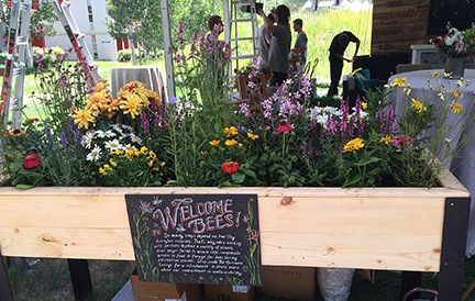 2014_0627_AspenMonsantoBees