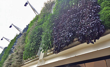 2015_0702_VerticalFarm