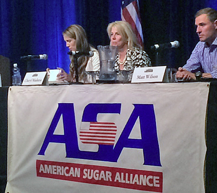 2015_0804_ASA_ConsumerPanel